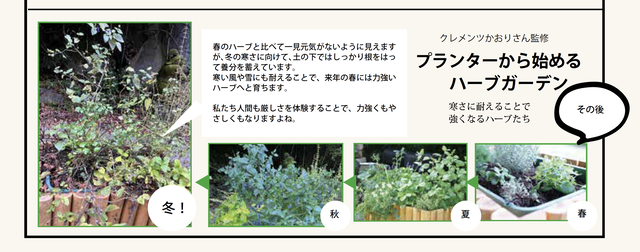 冬のハーブプランター