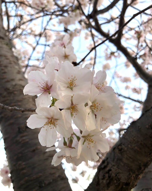 A0DD9955-4E70-4272-97E3-108417B1637A