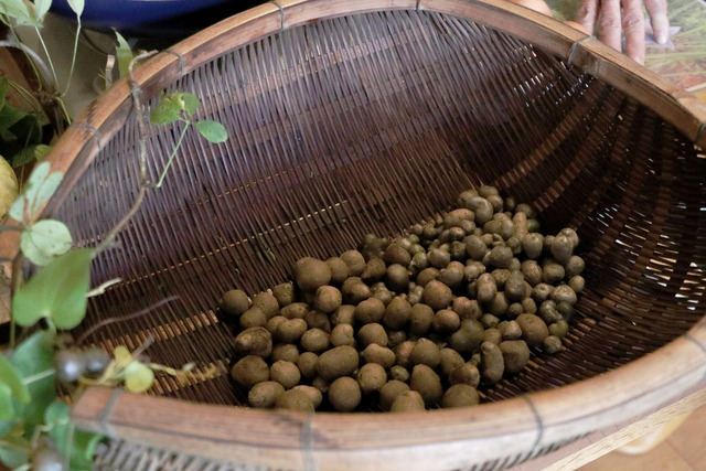 雑草キッチン_221010_07