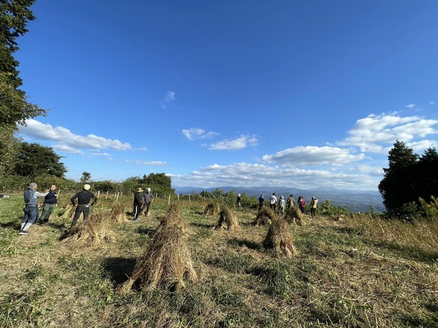 そばチャレンジ2022