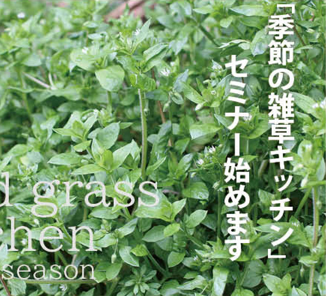 季節の雑草キッチン