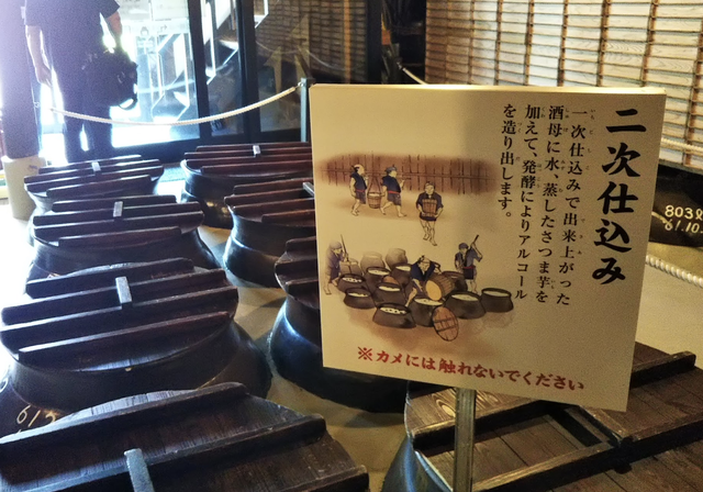白金かめ