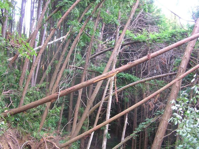 2016.6 大淀町大岩