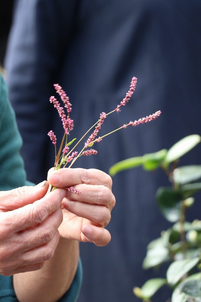 雑草キッチンフィールド_221108_10