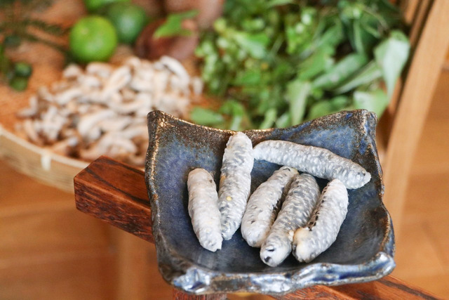 雑草キッチン_221010_04