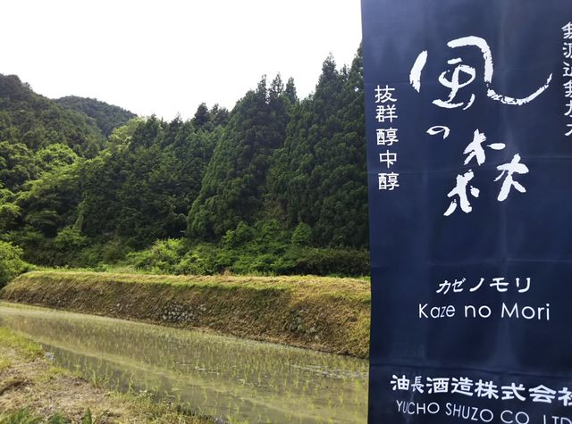 秋津穂の里プロジェクト田植え完了