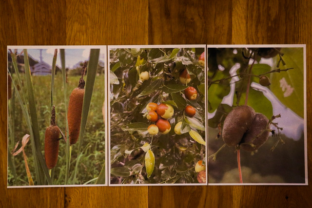 雑草キッチン_221010_秋七草1