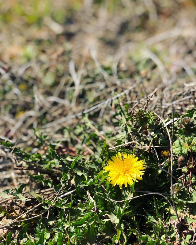 9C203D40-C749-432F-B335-7E0879972DD6