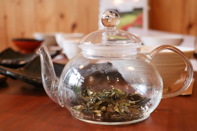 雑草キッチン_221010_05