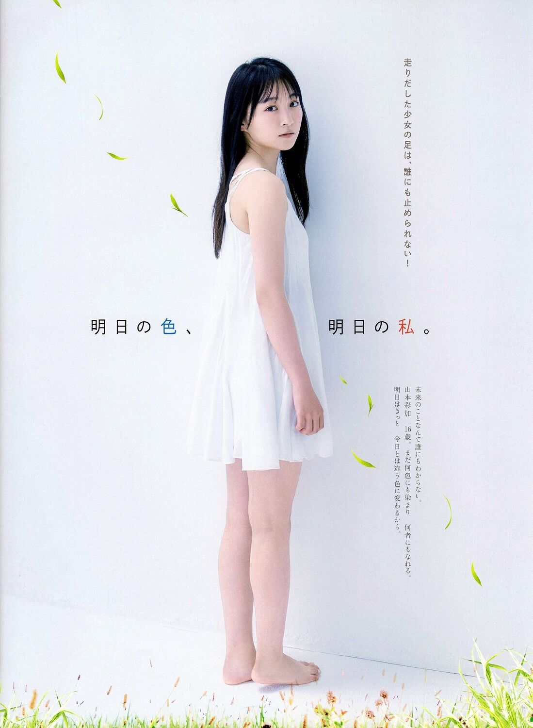 山本彩加さん 2 さとっちのきまぐれblog