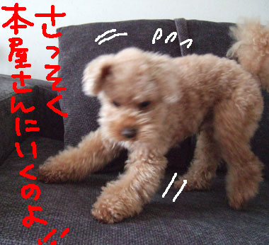 ぼくの絵本よ 新 トイプードル シャオロンのまんが日記