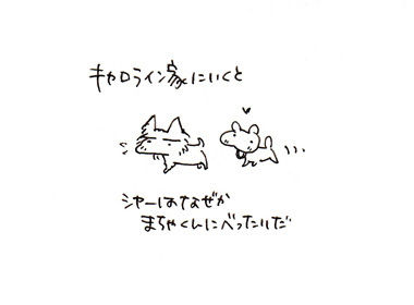 ■トイプードル・シャオロンのまんが日記