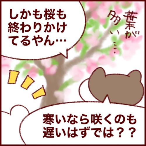 A05E82DC-9A6B-4905-8659-E16C99AB4F12_1_105_c