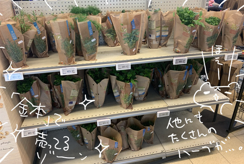 BA33DAA8-FDE6-42D3-8B67-D25084DC6626