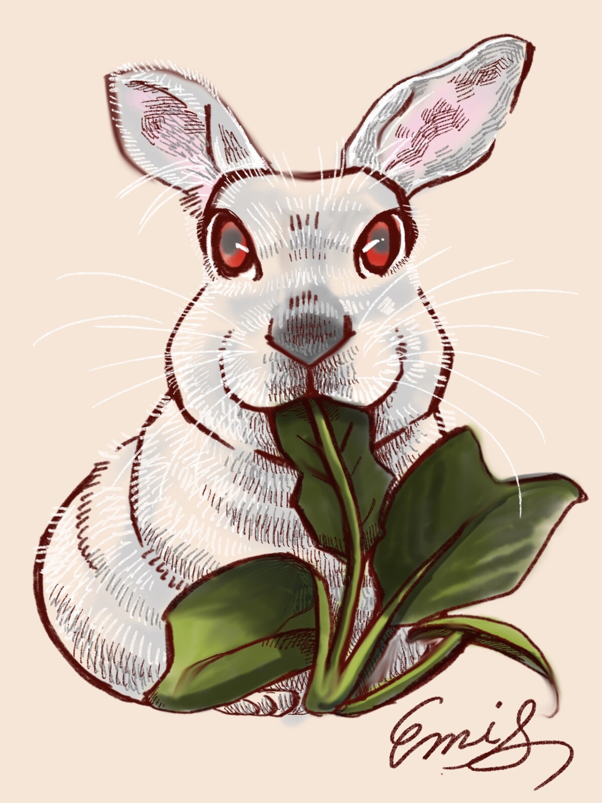 うさぎさんの似顔絵の描き方〜デジタル似顔絵Youtubeライブ うさぎさんの似顔絵の描き方〜デジタル似顔絵Youtubeライブ
