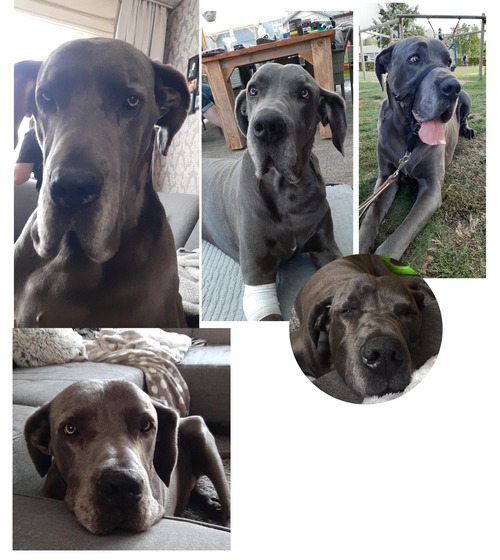 名称未設定のアートワーク 12