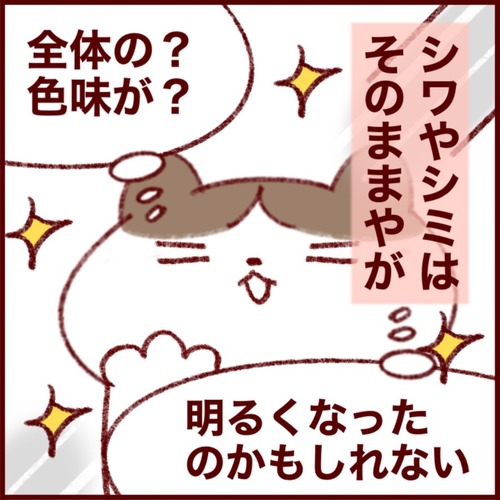 7604BDA3-A4CB-4C6F-8369-16739F79D85A_1_105_c