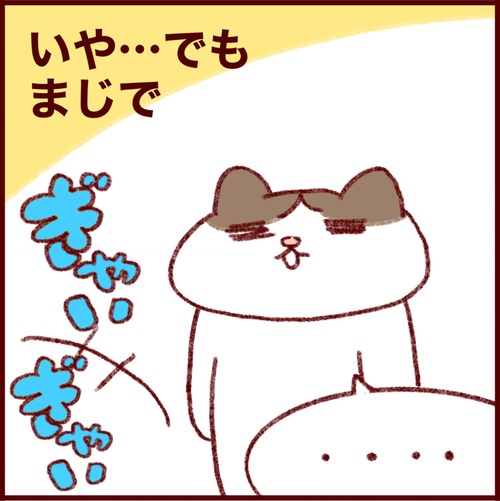 7EB0EC97-A710-42F6-B359-53CA6F27D55C