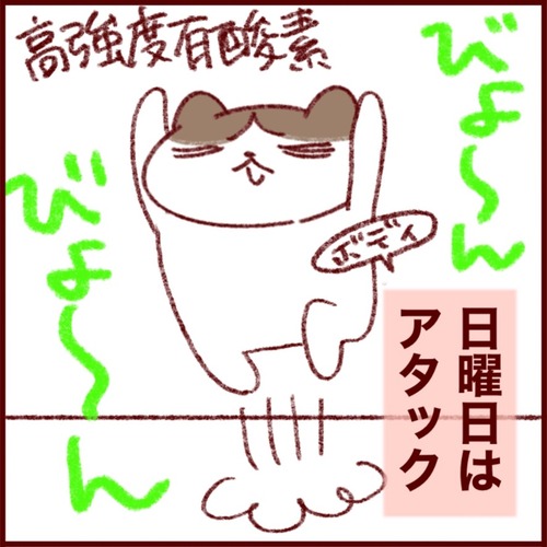 83F003F9-9629-4C06-ABB2-E5C99365EE9E_1_105_c