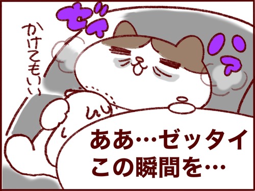 FC6254E6-365B-4F9F-ADC9-8D2597BF193C