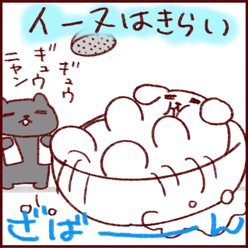8BF8D921-35CA-45A5-8B9D-6B327D231CE8_1_102_o
