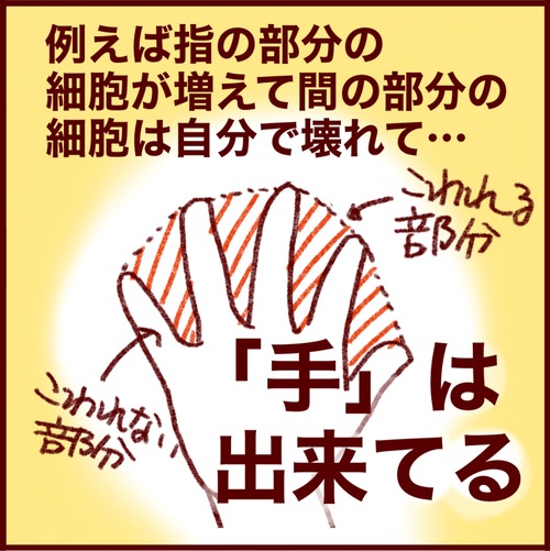 EAB5E551-1195-4826-B911-6427CE43B3E3