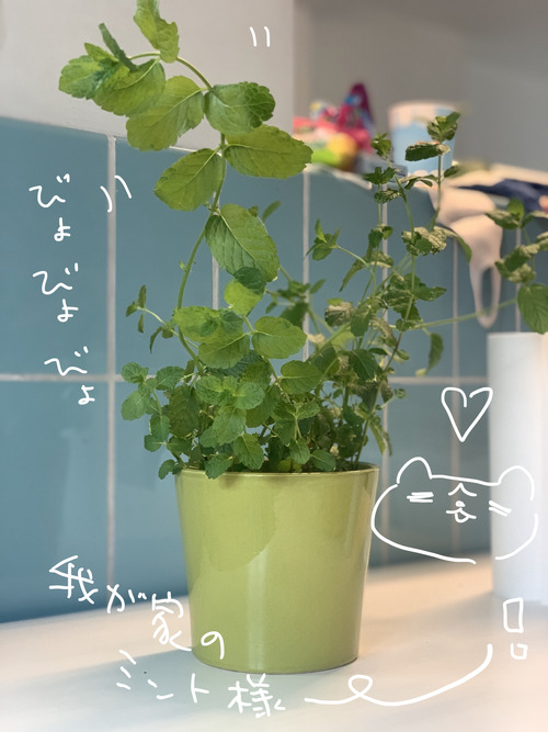 E5367B4C-9500-40A3-8A88-CB077B9BA620