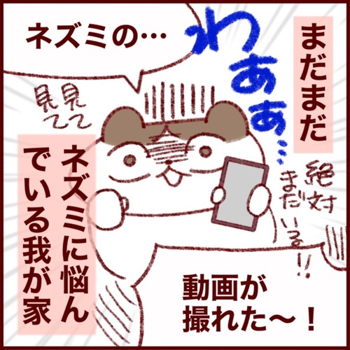 0BEEACE1-FE5B-499F-B210-652028D5E622_1_105_c
