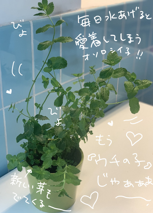 F51C5E80-A1E3-4863-B211-EE02FAFA79ED