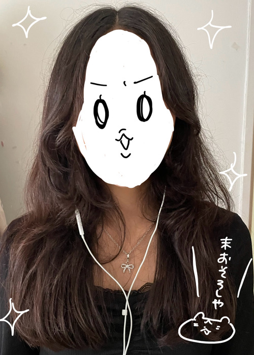 最新の写真を表示