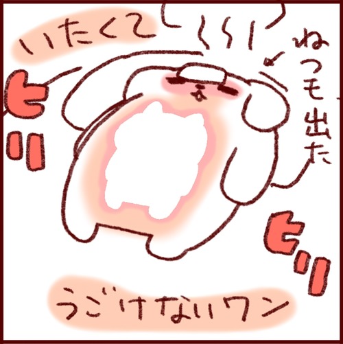 1C6113C2-E6CB-4922-890D-BDD6DC4C0C9F_1_102_o