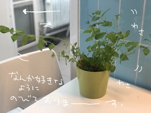 55C64EED-FE0F-440E-A139-7B5773A37DBD