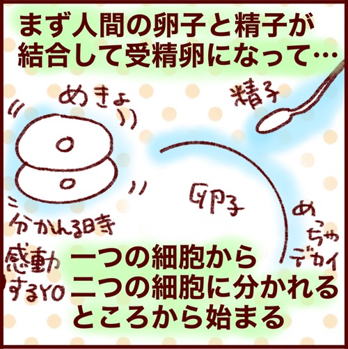 696244A9-EB18-4D69-927B-CC43F56F56D7