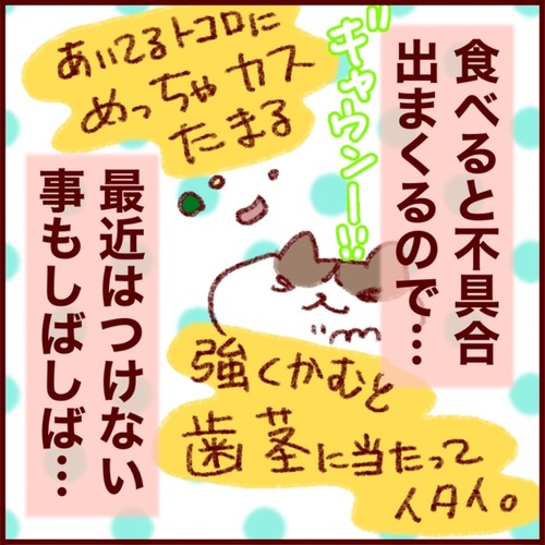 D0CF6CE2-BAD7-431C-9F6C-40D637069692_1_105_c