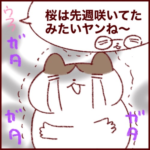 304D35C8-40B2-419B-AE9E-8ACA14E482BF_1_105_c