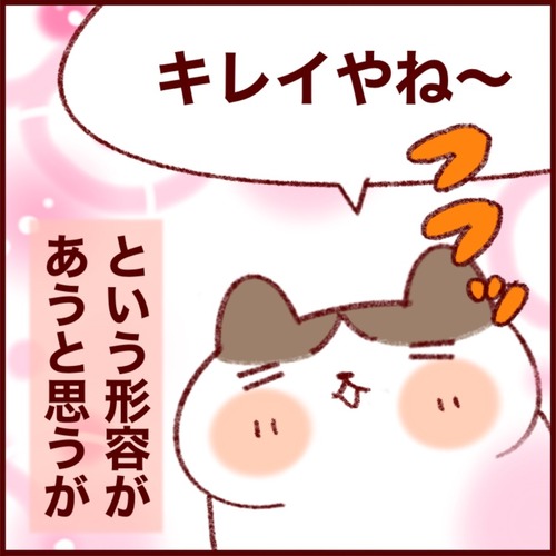 59715D20-E7B6-48F4-BD7D-77736B6CB131_1_105_c