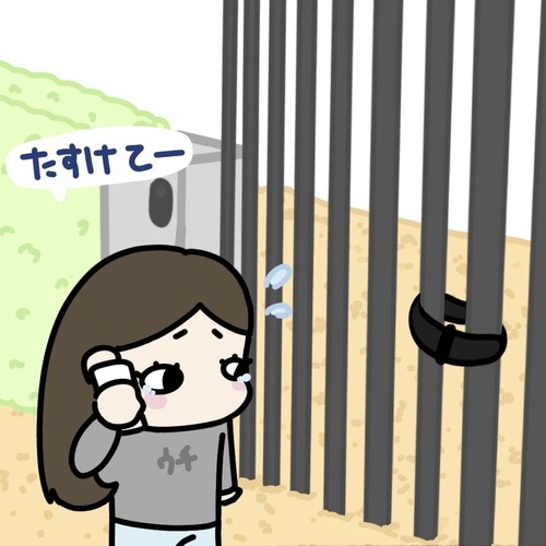 B7F2D801-AC8E-4B0F-A1FB-212731B858FB_1_105_c