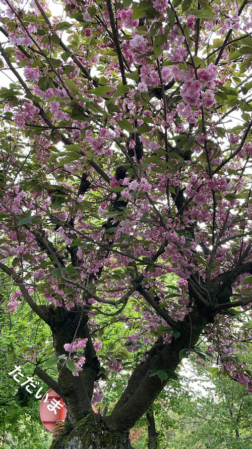 564C0923-4251-4296-B305-D2907841822A