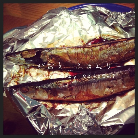 photo:01