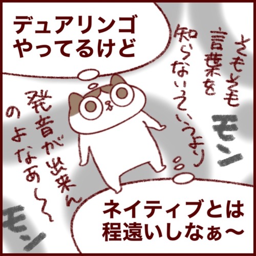 546CD1EA-FFA9-45C7-B767-F9E9C2C76BE7_1_105_c