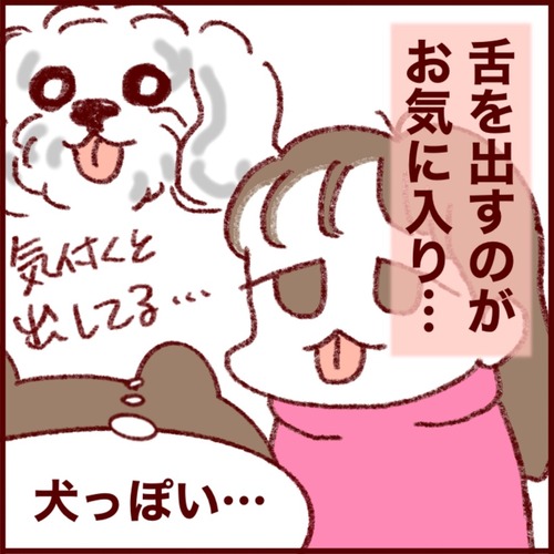 AC55767C-C5BD-426A-B888-4277B71A3543_1_105_c