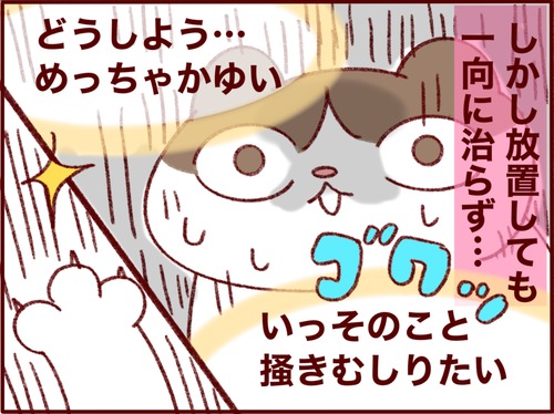 6472CAB3-CAB3-4DF7-B455-2CF1CBD5A3AC