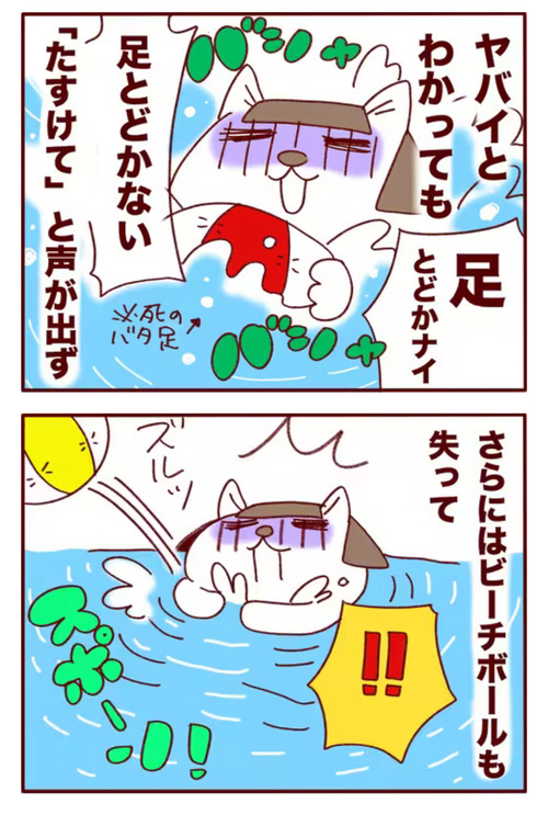 2C9522E7-407E-4659-A6A5-A93F3A55A516_1_105_c