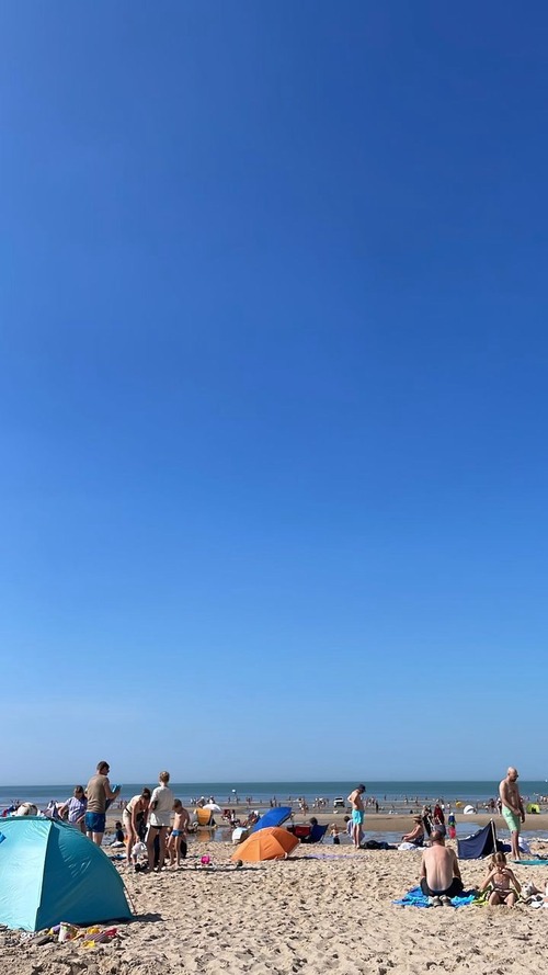 FC81C553-31F7-4112-A423-6CF978E04D9F