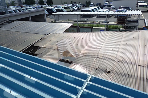 P9050184