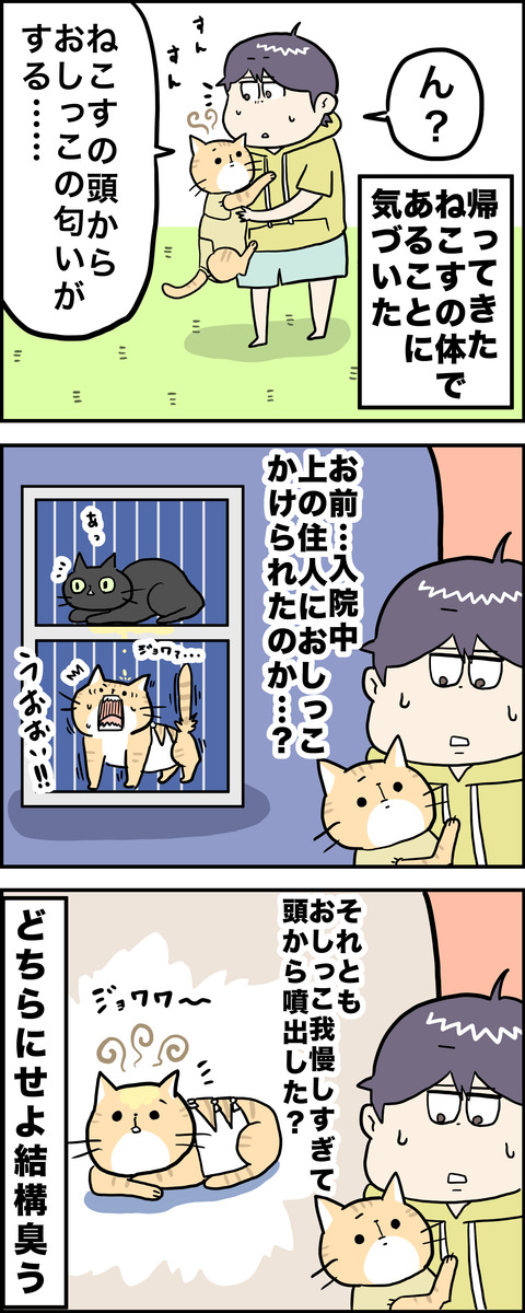 3コマ おしっこ