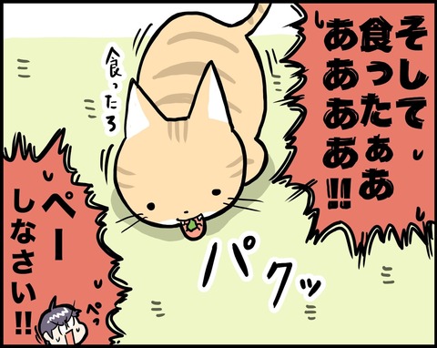 0CDD13DF-9C6E-479E-A0AB-1F742ADCCDC0