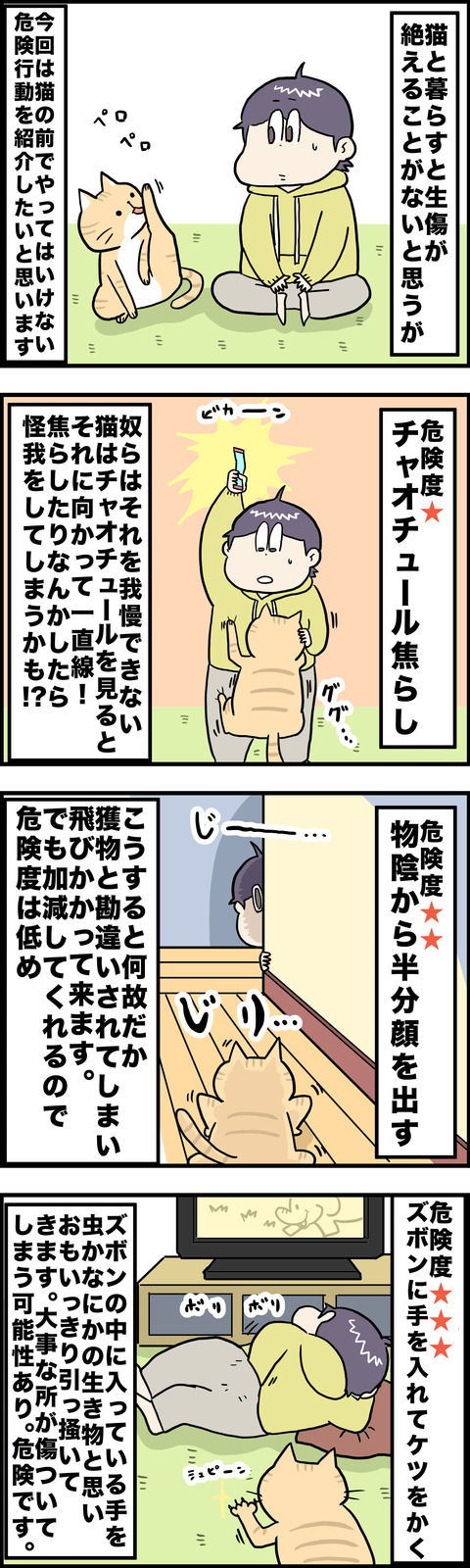 ４コマ　猫怪我