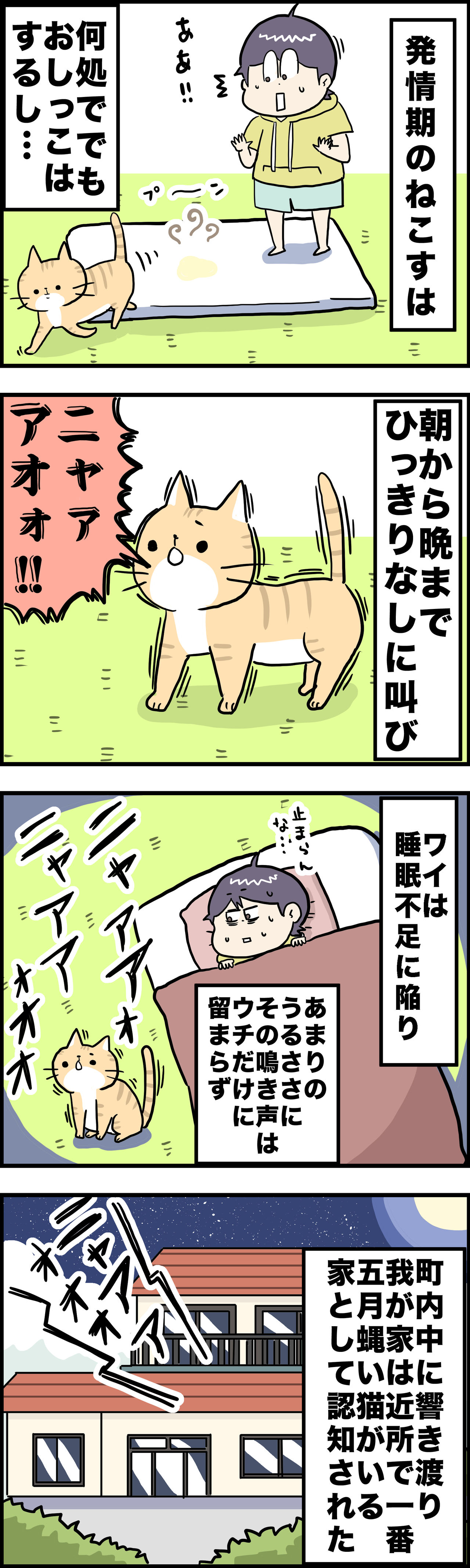 猫 発情 期 いつ