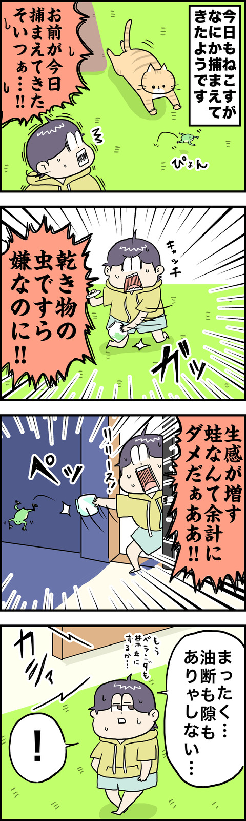 4コマ 蛙